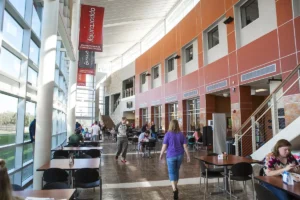 Students eating and studying inside the Talbot Family Atrium at the Richwood Valley Campus.