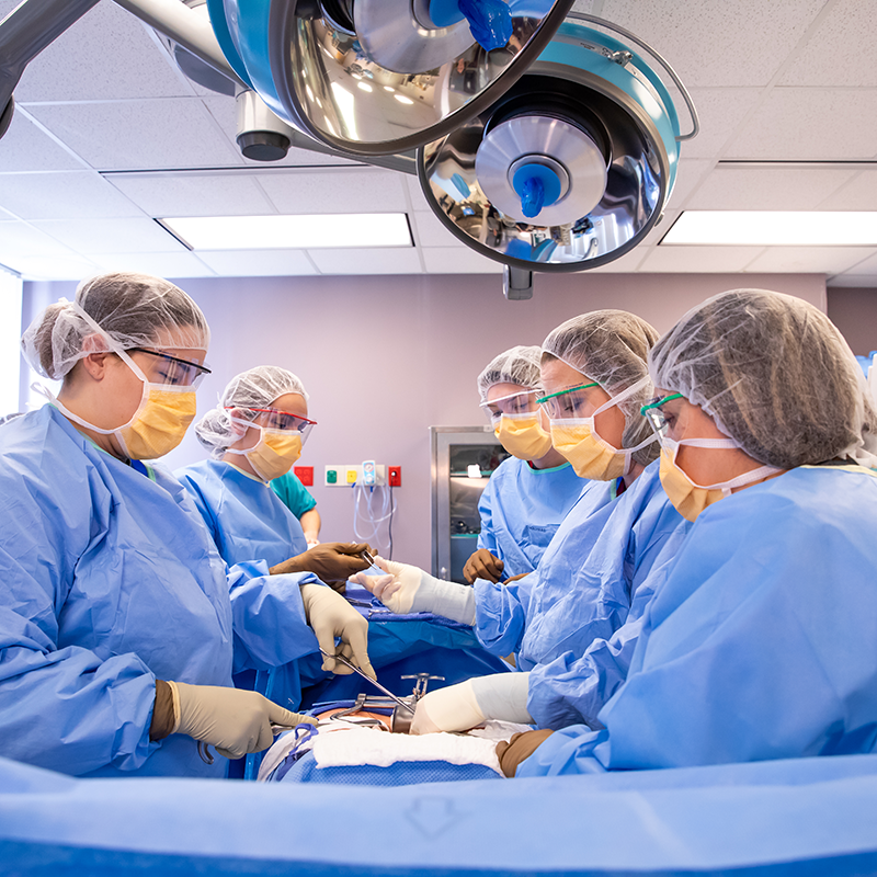Surgical Technology Informational Session