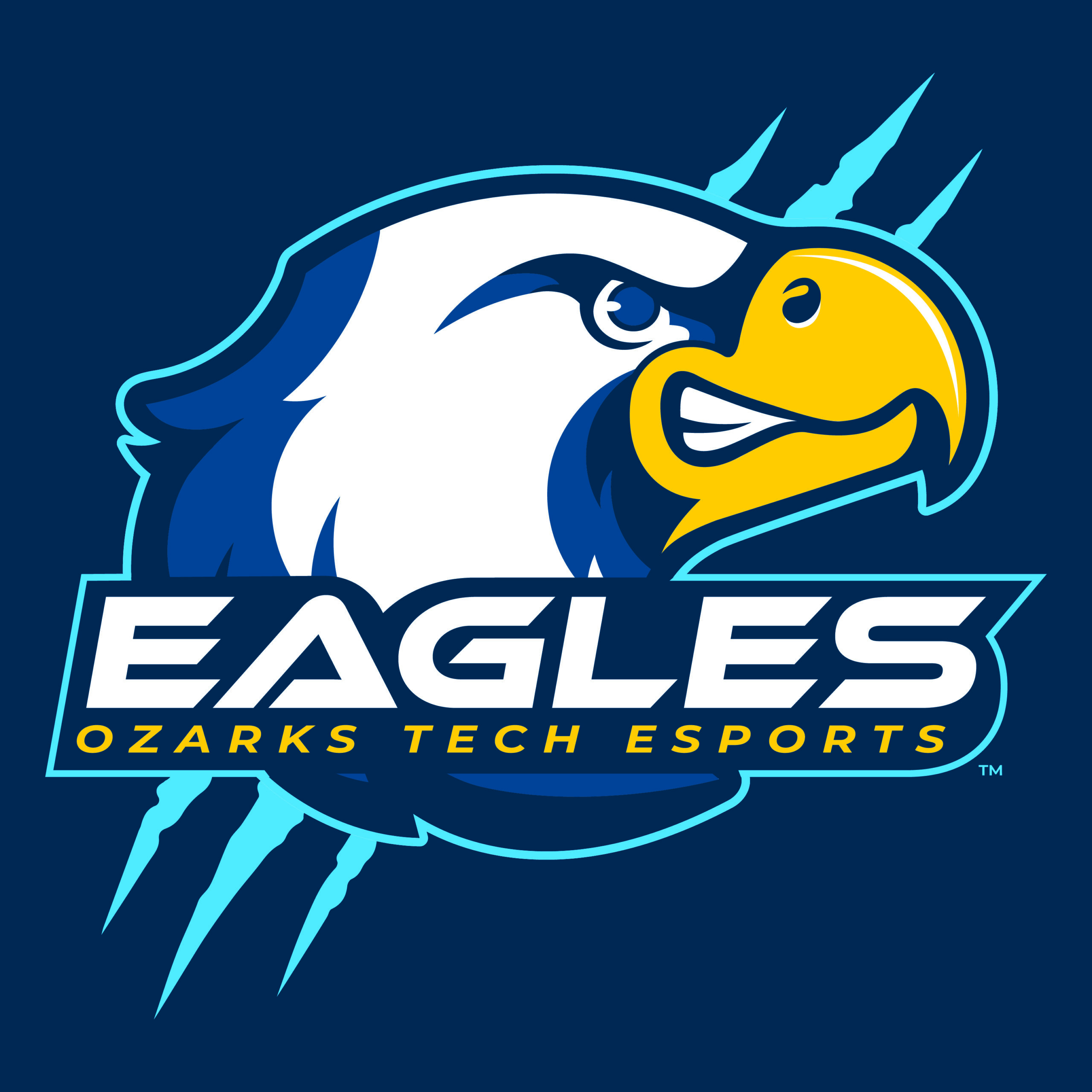 Esports – Super Smash Bros. Ultimate: OTC Gold vs. Northcentral Technical College